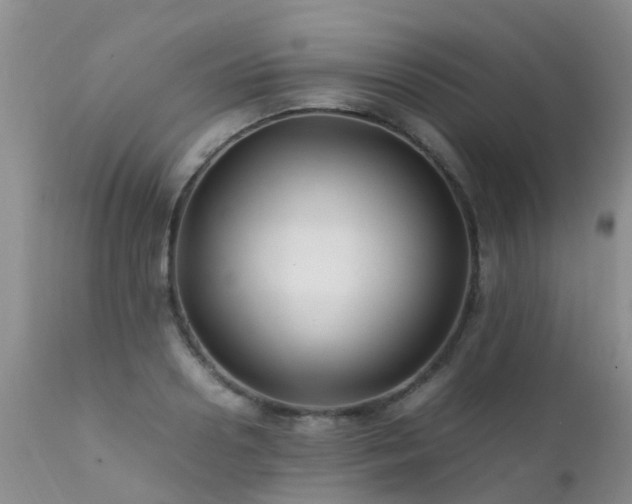 X0000112110938200908111439