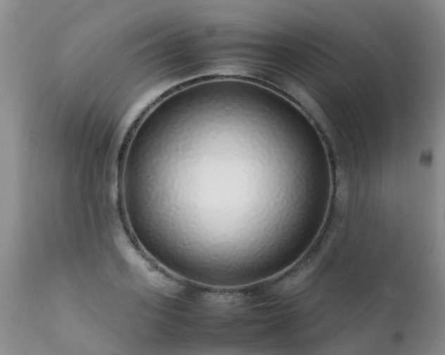 X0000112110939200908111439