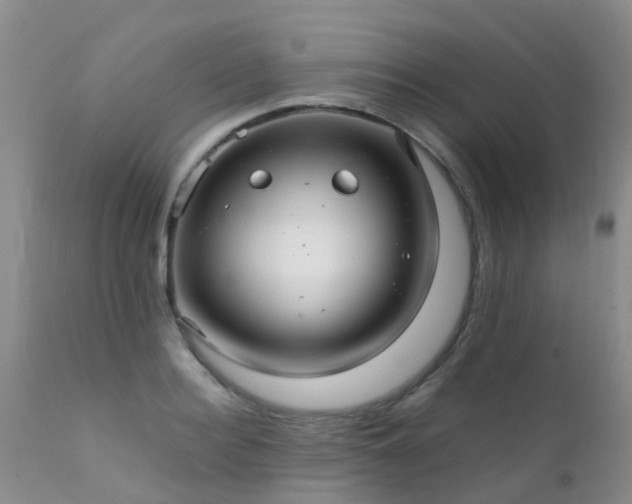 X0000112110940200908111439