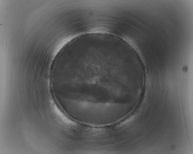 X0000112110941200908111439