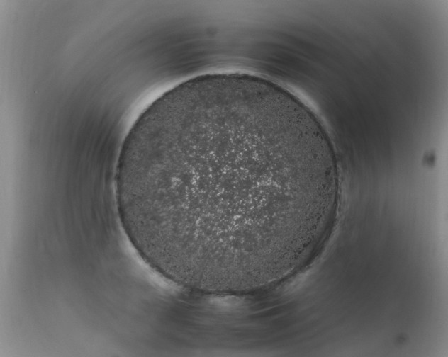 X0000112110943200908111439