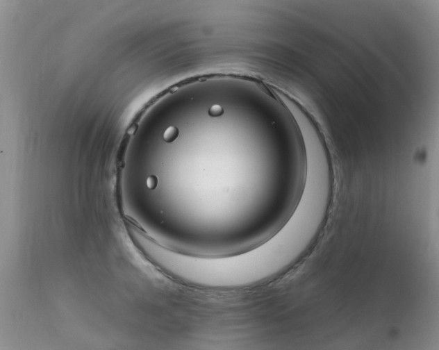 X0000112110944200908111439