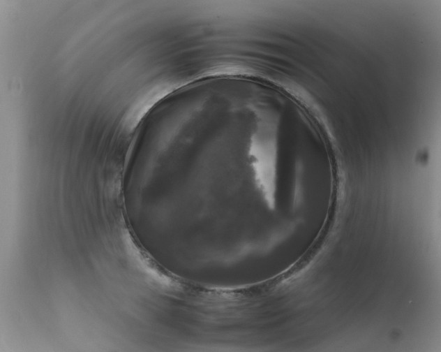 X0000112110945200908111439