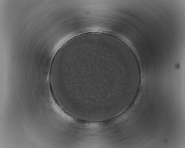 X0000112110946200908111439