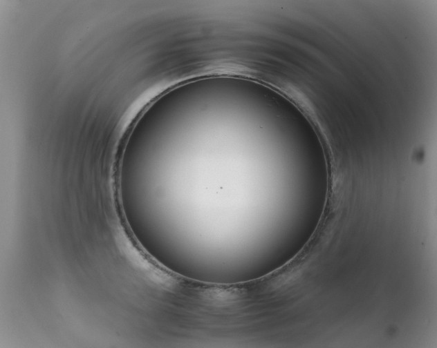 X0000112110947200908111439