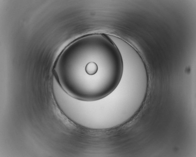 X0000112110948200908111439