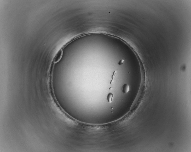 X0000112110949200908111439