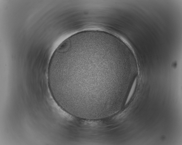 X0000112110951200908111439