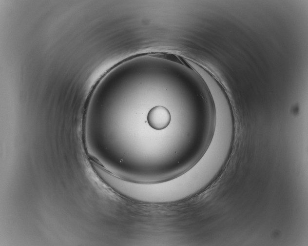 X0000112110952200908111439