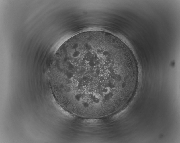 X0000112110953200908111439