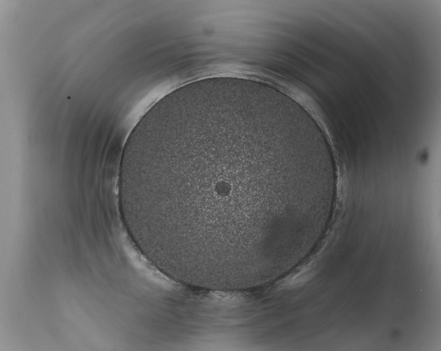 X0000112110954200908111439