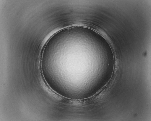 X0000112110955200908111439