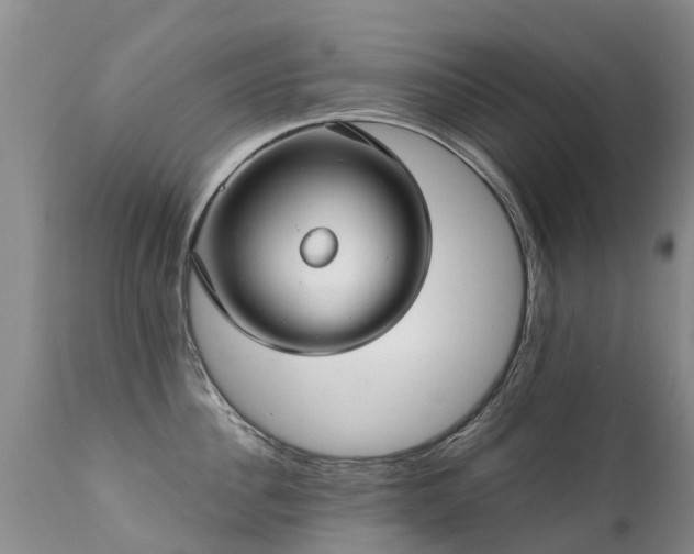 X0000112110956200908111439