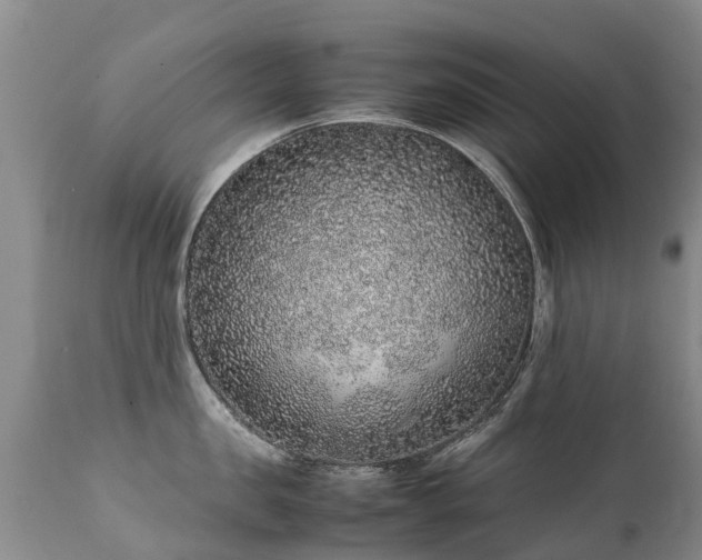 X0000112110957200908111439