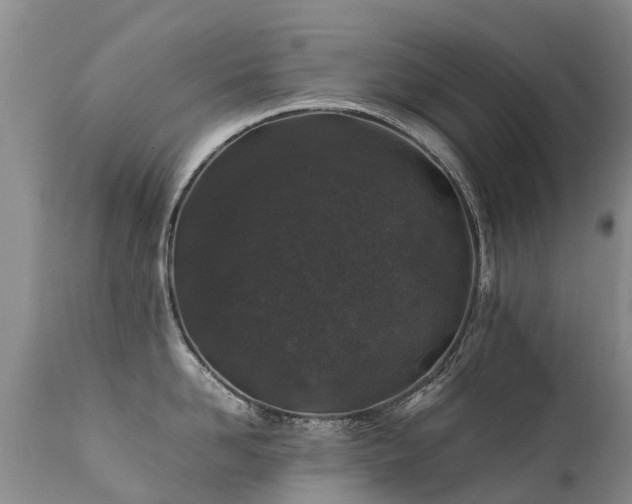 X0000112110958200908111439