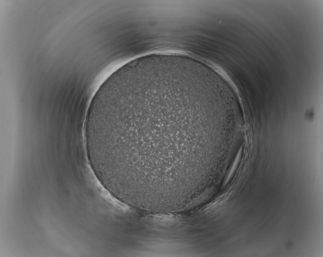 X0000112110959200908111439