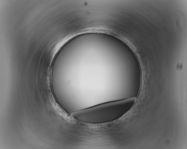 X0000112110960200908111439