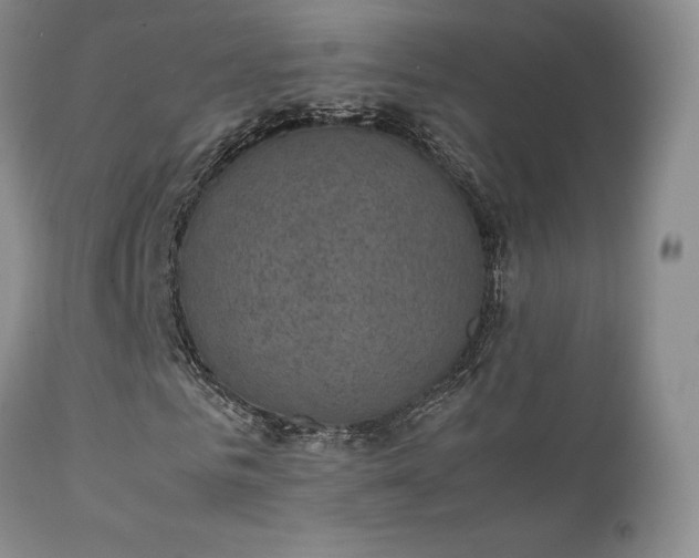 X0000112110961200908111438