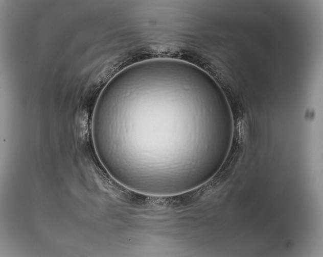 X0000112110963200908111438