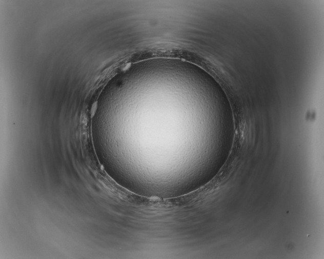 X0000112110964200908111438