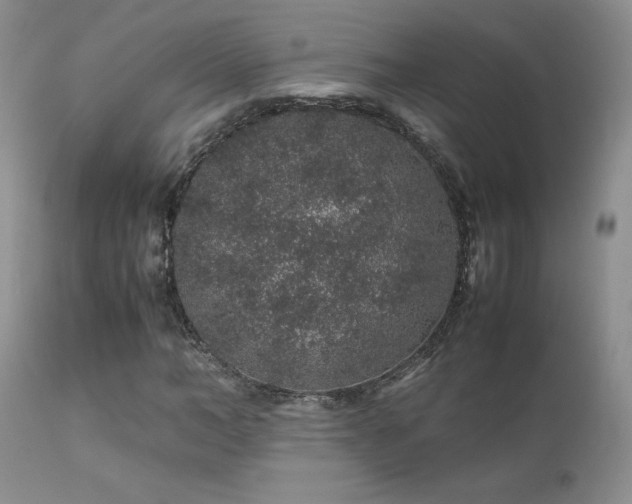 X0000112110966200908111438