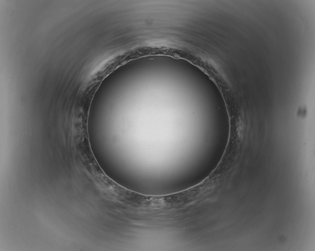 X0000112110968200908111438