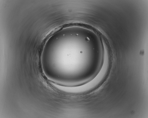 X0000112110969200908111438