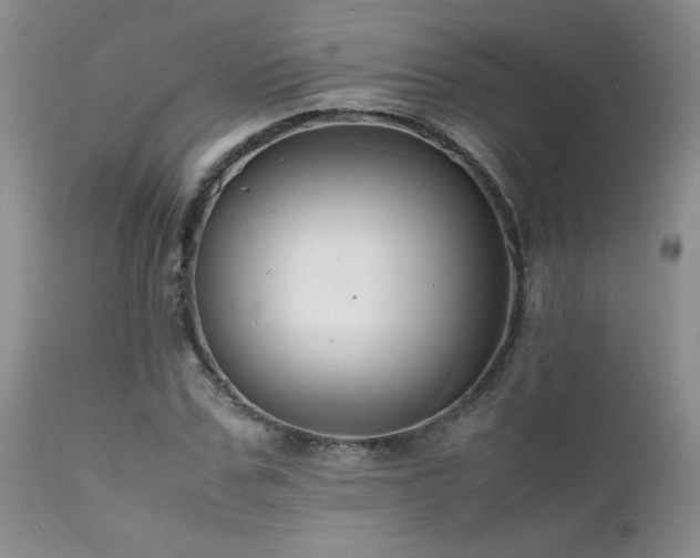 X0000112110971200908111438