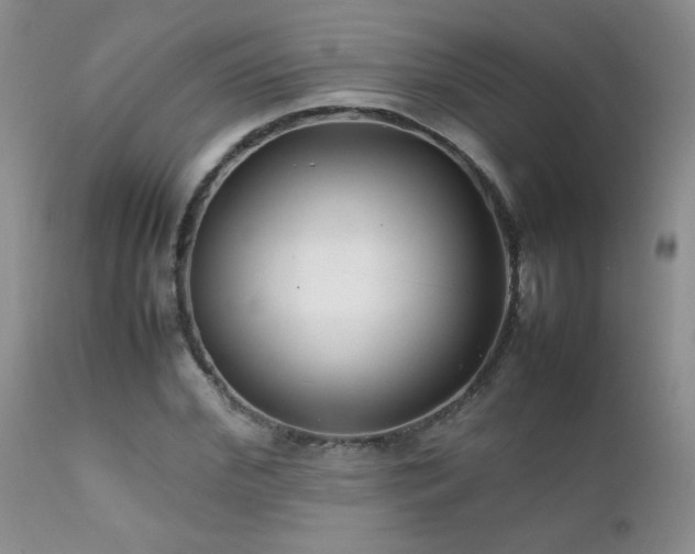 X0000112110972200908111438