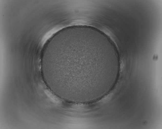 X0000112110973200908111438