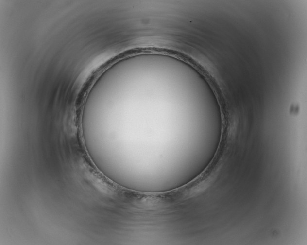 X0000112110974200908111438