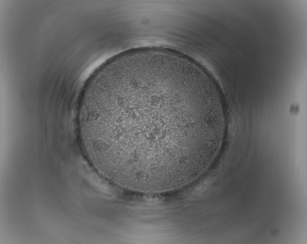 X0000112110975200908111438