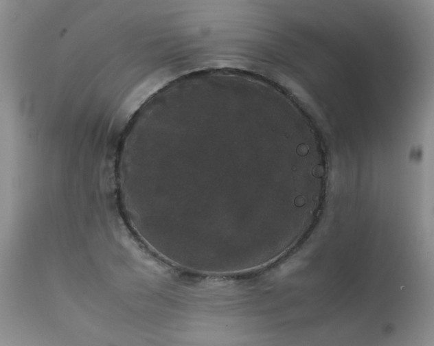 X0000112110977200908111438