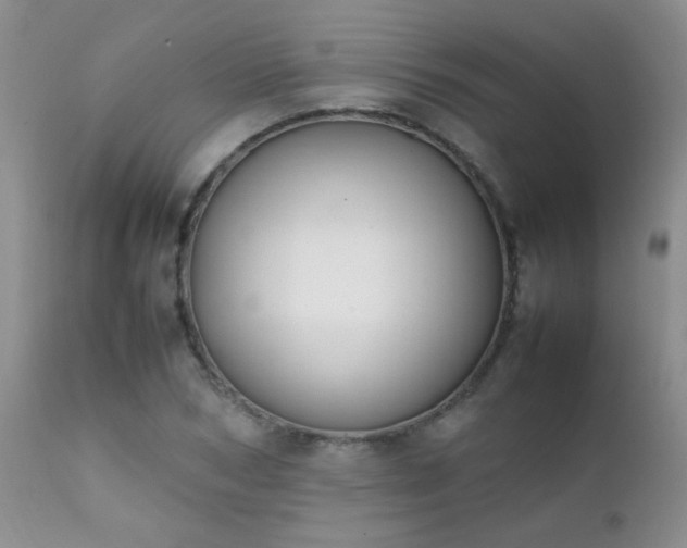 X0000112110978200908111438