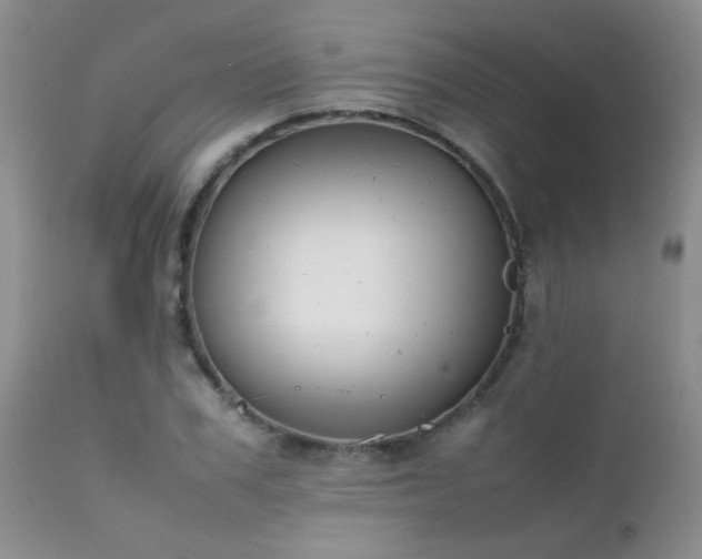 X0000112110979200908111438