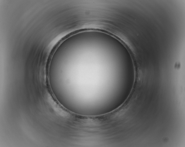 X0000112110980200908111438