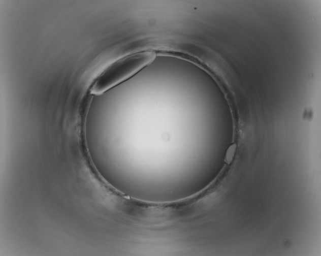 X0000112110981200908111438