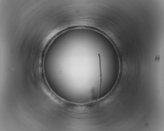 X0000112110982200908111438