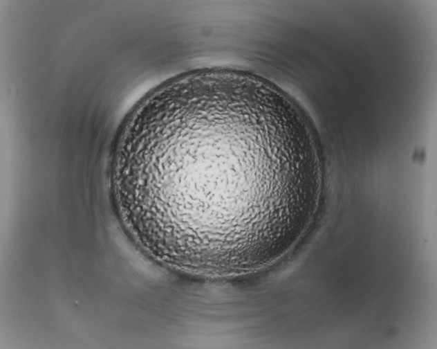 X0000112110983200908111438