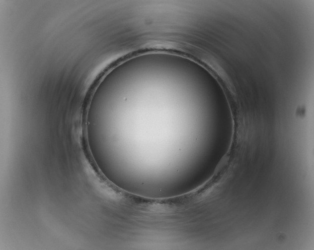 X0000112110984200908111438