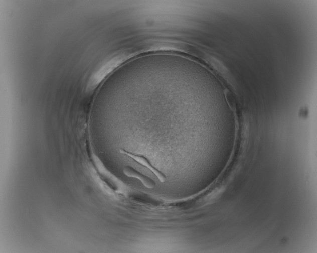 X0000112110985200908111438