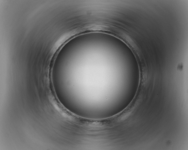 X0000112110986200908111438