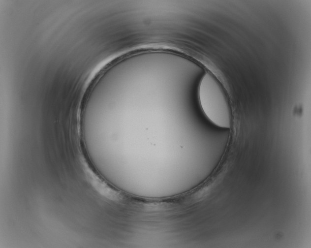 X0000112110988200908111438