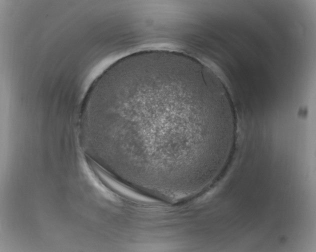 X0000112110989200908111438