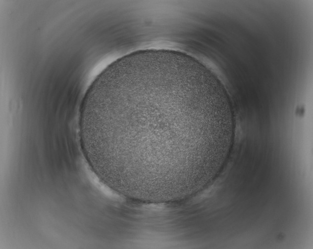 X0000112110990200908111438