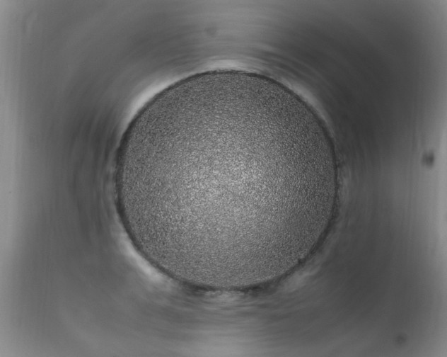 X0000112110991200908111438