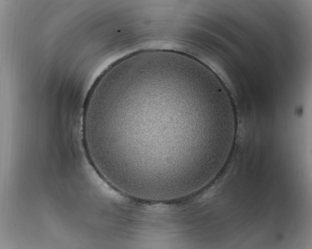 X0000112110992200908111438