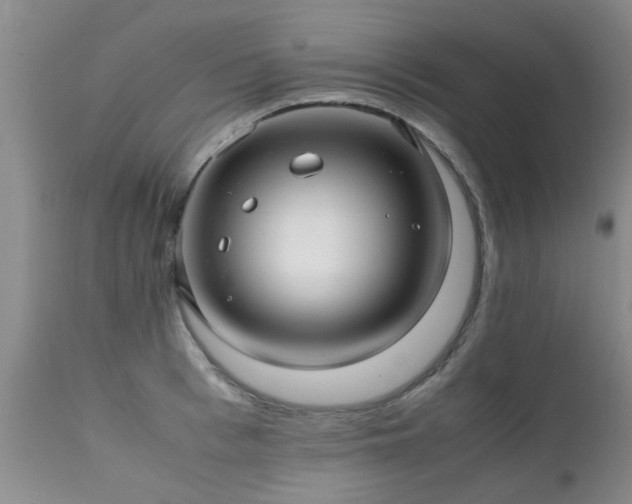 X0000112110993200908111438