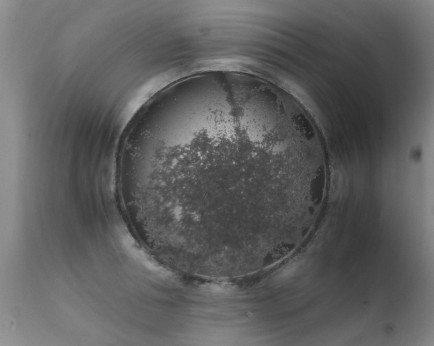 X0000112110994200908111438