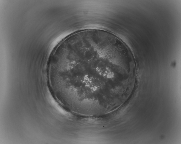 X0000112110995200908111438